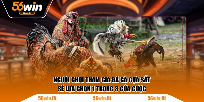 Người chơi tham gia đá gà cựa sắt sẽ lựa chọn 1 trong 3 cửa cược